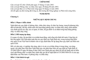 Nghị định 09/2006/NĐ-CP phòng chữa cháy rừng