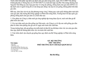 Công văn 321/BNN-TY cho phép ấp nở, nuôi mới gà