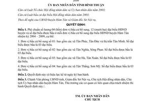 Quyết định 19/2006/QĐ-UBND số lượng đơn vị bầu cử đại biểu Hàm Tân 2004 2009 Bình Thuận