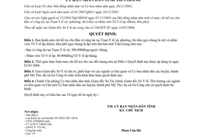 Quyết định 07/2006/QĐ-UBND mức chi hỗ trợ Bác sĩ Trạm Y tế xã nhân viên Tổ Y tế ấp Tiền Giang