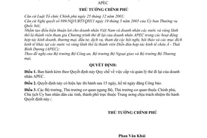 Quyết định 45/2006/QĐ-TTg  Quy chế cấp quản lý thẻ đi lại của doanh nhân APEC