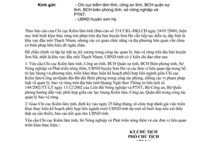Công văn 417/UBND-NL tăng cường phối hợp công tác điều tra, xử lý vi phạm pháp luật về bảo vệ rừng