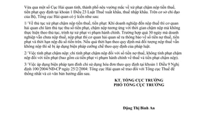 Công văn 1177/TCHQ-PC xử phạt chậm nộp tiền thuế, tiền phạt