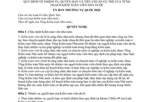 Nghị quyết 1002/2006/NQ-UBTVQH11 quy định về nhiệm vụ, quyền hạn và tiêu chuẩn cụ thể của từng ngạch kiểm toán viên nhà nước