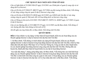 Quyết định 89/QĐ-UBND năm 2006 quy định thanh tra kiểm tra Doanh nghiệp Internet