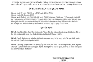 Quyết định 857/2006/QĐ-UBND  Quy chế đấu giá quyền sử dụng đất để giao đất