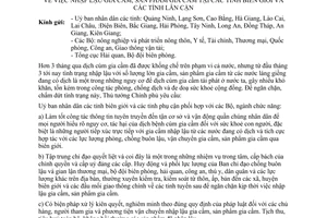 Công điện 516/2006/CĐ-TTG  nhập lậu gia cầm, sản phẩm gia cầm biên giới tỉnh lân cận
