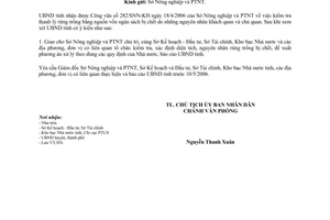 Công văn 716/UBND  kiểm tra thanh lý rừng trồng bị chết