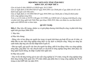 Nghị quyết 02/2006/NQ-HĐND chương trình khuyến công phát triển làng nghề