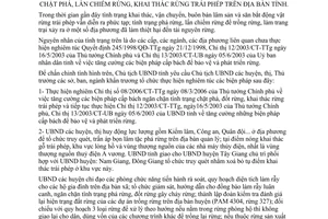 Chỉ thị 17/2006/CT- UBND biện pháp ngăn chặn chặt phá lấn chiếm khai thác rừng trái phép Quảng Nam