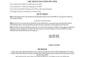 Quyết định 925/QĐ-CTUBND 2006 thực hiện Chỉ thị 08/2006/CT-TTg Bình Định