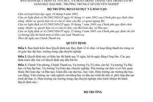 Quyết định 14/2006/QĐ-BGDĐT  tổ chức hoạt động thanh tra cơ sở giáo dục đại học,trung cấp chuyên nghiệp