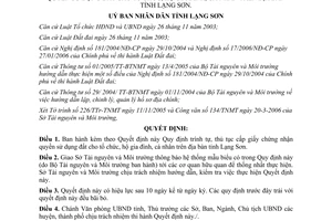 Quyết định 05/2006/QĐ-UBND trình tự thủ tục cấp giấy chứng nhận quyền sử dụng