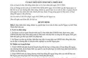 Quyết định 1134/2006/QĐ-UBND Nhiệm vụ quyền hạn cơ cấu tổ chức Sở Ngoại vụ Thừa Thiên Huế