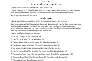 Quyết định 34/2006/QĐ-UBND Xếp hạng Chi cục Kiểm lâm
