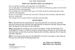 Quyết định 801/2006/QĐ-TCHQ quy trình miễn, xét miễn, giảm, hoàn,không thu thuế XNK tại Cục Hải quan tỉnh, thành