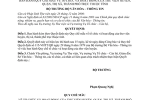Quyết định 49/2006/QĐ-BVHTT tổ chức hoạt động thư viện huyện, quận, thị xã, thành phố thuộc tỉnh