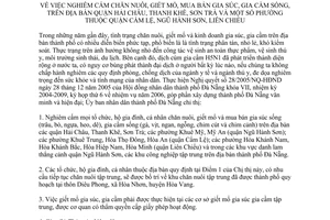 Chỉ thị 12/2006/CT-UBND cấm chăn nuôi giết mổ mua bán gia súc gia cầm sống Đà Nẵng