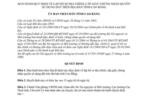 Quyết định 846/2006/QĐ-UBND lập hồ sơ địa chính, cấp giấy