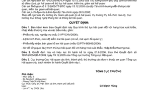 Quyết định 874/2006/QĐ-TCHQ  quy trình thủ tục hải quan hàng hoá xuất khẩu, nhập khẩu thương mại