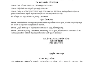 Quyết định 51/2006/QĐ-UBND cơ quan nộp lưu hồ sơ tài liệu vào trung tâm lưu trữ Bình Định