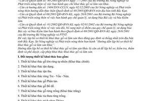 Hướng dẫn 488/HD-SNN lập hồ sơ thiết kế khai thác gỗ và lâm sản