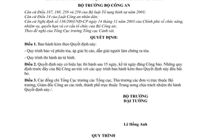 Quyết định 810/2006/QĐ-BCA-C11 Quy trình bảo vệ phiên tòa, áp giải bị cáo, dẫn giải người làm chứng,thi hành án tử hình