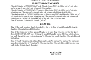 Quyết định 21/2006/QĐ-BCN  Quy chế tổ chức hoạt động Tổ Công tác thực hiện Công ước Cấm vũ khí hoá học