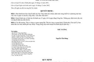 Quyết định 170/2006/QĐ-TTg tiêu chuẩn, định mức trang thiết bị phương tiện làm việc cơ quan cán bộ, công chức,viên chức nhà nước