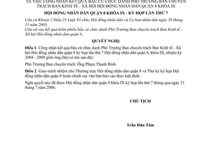 Nghị quyết 03/2006/NQ-HĐND công nhận kết quả bầu cử chức danh Phó Trưởng ban chuyên trách ban kinh tế - xã hội Hội đồng nhân dân quận 8 khóa IX