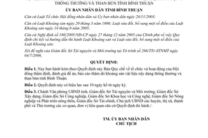 Nghị quyết 61/2006/QĐ-UBND tổ chức hội đồng thẩm định khoáng sản Bình Thuận