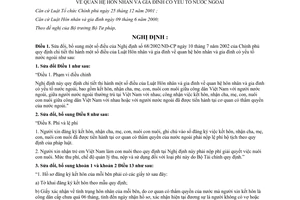 Nghị định 69/2006/NĐ-CP quan hệ hôn nhân gia đình có yếu tố nước ngoài sửa đổi NĐ 68/2002/NĐ-CP