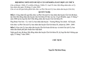 Nghị quyết 44/2006/NQ-HĐND công nhận kết quả bầu cử chức vụ Phó Chủ tịch Ủy ban nhân dân huyện Cần Giờ khóa IX