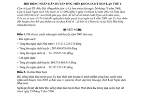 Nghị quyết 01/2006/NQ-HĐND phê chuẩn quyết toán ngân sách năm 2005