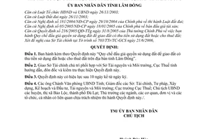 Quyết định 49/2006/QĐ-UBND Quy chế đấu giá quyền sử dụng đất