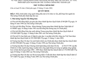 Quyết định 1046/QĐ-TTg điều chỉnh phân công người đứng đầu tổ chức tư vấn, phối hợp liên ngành Thủ tướng Chính phủ thành lập