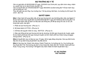 Quyết định 25/2006/QĐ-BYT bổ sung biểu mẫu tai nạn thương tích hệ thống biểu mẫu Ngành Y tế