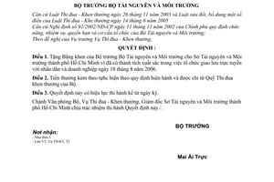 Quyết định 1106/QĐ-BTNMT khen thưởng đột xuất  cho Sở TNMT thành phố Hồ Chí Minh tổ chức giao lưu trực tuyến nhân dân DN 18/8/2006