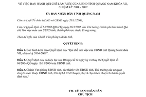 Quyết định 41/2006/QĐ-UBND Qui chế làm việc của UBND tỉnh Quảng Nam khóa VII
