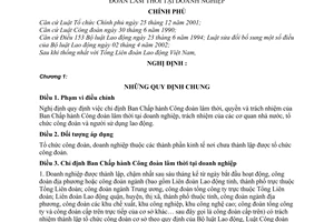 Nghị định 96/2006/NĐ-CP ban chấp hành công đoàn lâm thời tại doanh nghiệp hướng dẫn bộ luật lao động