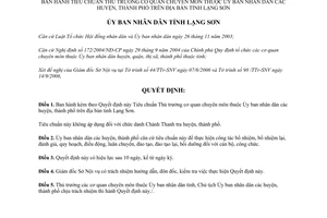 Quyết định 17/2006/QĐ-UBND Tiêu chuẩn Thủ trưởng cơ quan chuyên môn Lạng Sơn