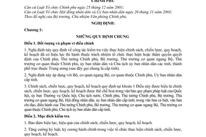 Nghị định 99/2006/NĐ-CP công tác kiểm tra việc thực hiện chính sách, chiến lược, quy hoạch kế hoạch