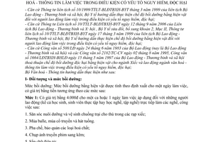 Hướng dẫn 3915/HD-BVHTT thực hiện chế độ bồi dưỡng bằng hiện vật cho lao động