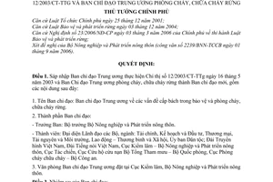 Quyết định 1282/2006/QĐ-TTg sáp nhập Ban chỉ đạo Trung ương thực hiện Chỉ thị 12/2003/CT-TTg