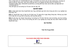 Quyết định 28/2006/QĐ-BYT Quy chế Đánh giá viên chức trong đơn vị sự nghiệp thuộc Bộ Y tế