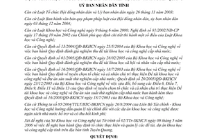 Quyết định 78/2006/QĐ-UBND Quy định tổ chức thực hiện quản lý đề tài dự án