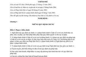 Nghị định 114/2006/NĐ-CP xử phạt vi phạm hành chính dân số và trẻ em