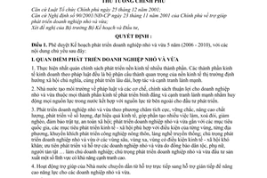 Quyết định 236/2006/QĐ-TTg Kế hoạch phát triển doanh nghiệp nhỏ và vừa 5 năm 2006 - 2010