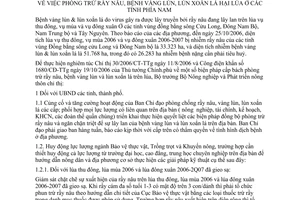 Chỉ thị 96/2006/CT-BNN phòng trừ rầy nâu bệnh vàng lùn lùn xoắn lá hại lúa phía Nam