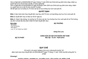 Quyết định 2502/2006/QĐ-BTP Quy chế Tổ chức hoạt động Cục Con nuôi quốc tế